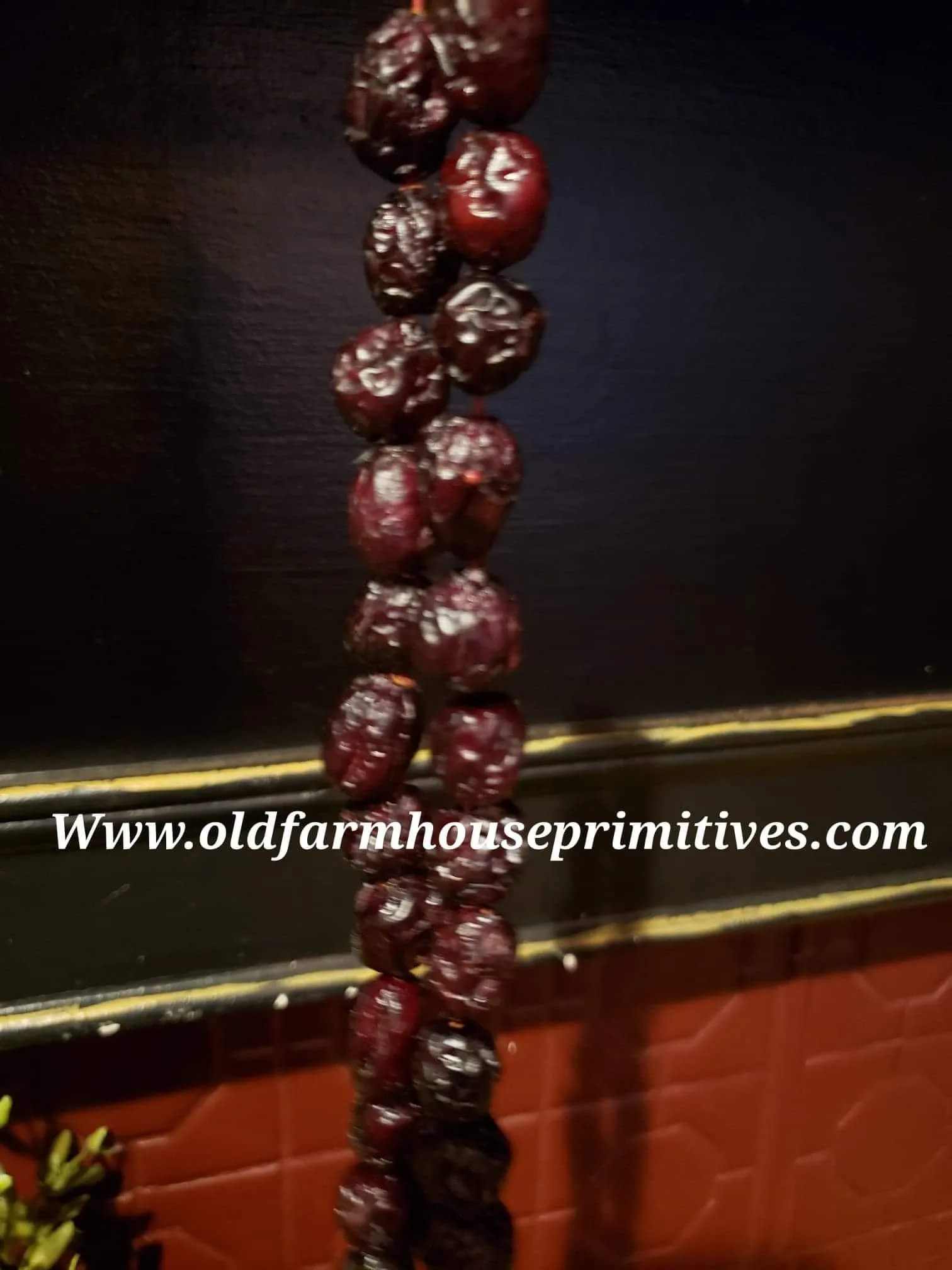 #BJBC73 Primitive Colonial Dried Dark & Plump Cranberry Garland 5'