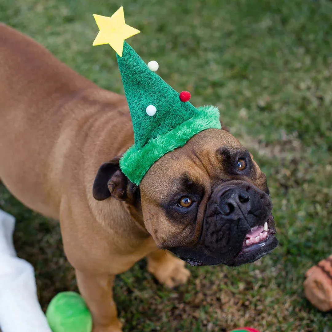 Kazoo Christmas Tree Hat for Dogs