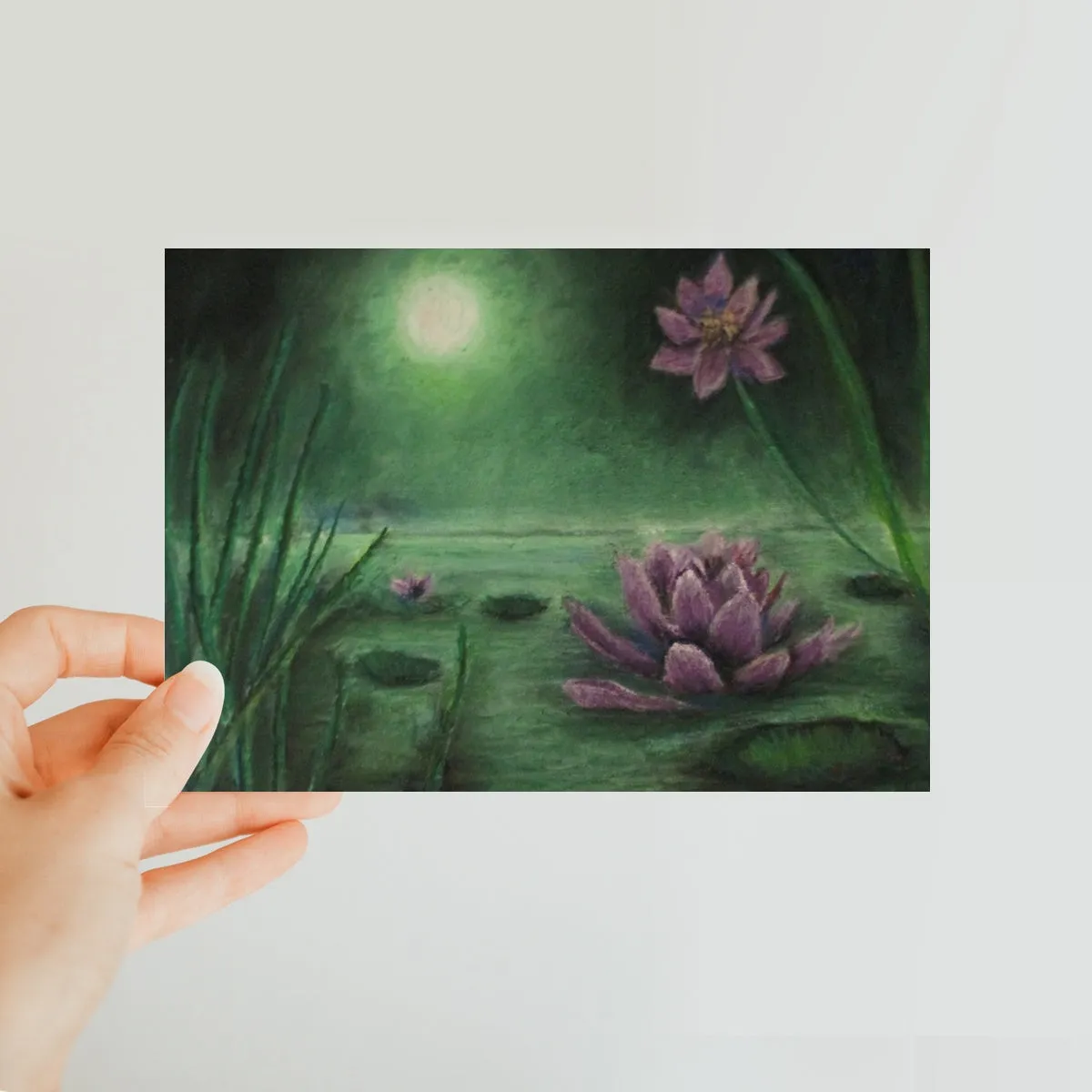 Lily Pond ~ Postcard