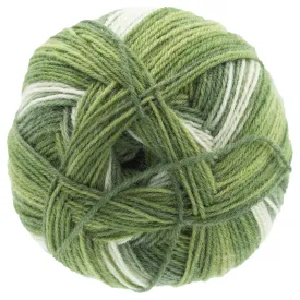 Scheepjes Arcadia Yarn - 905 Rainforest