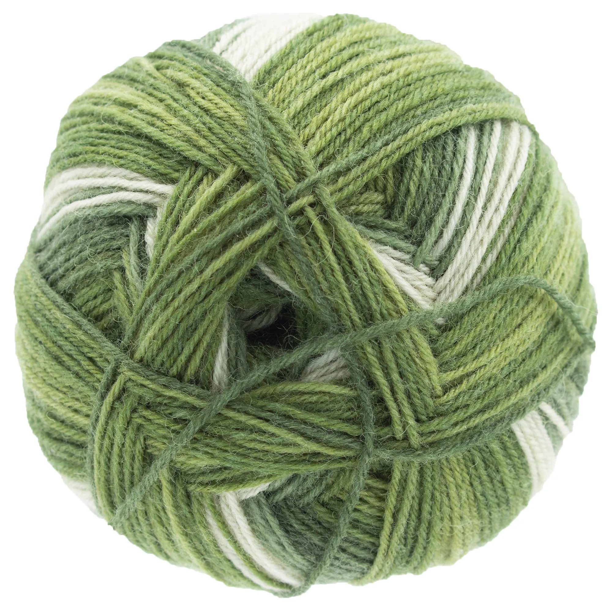 Scheepjes Arcadia Yarn - 905 Rainforest